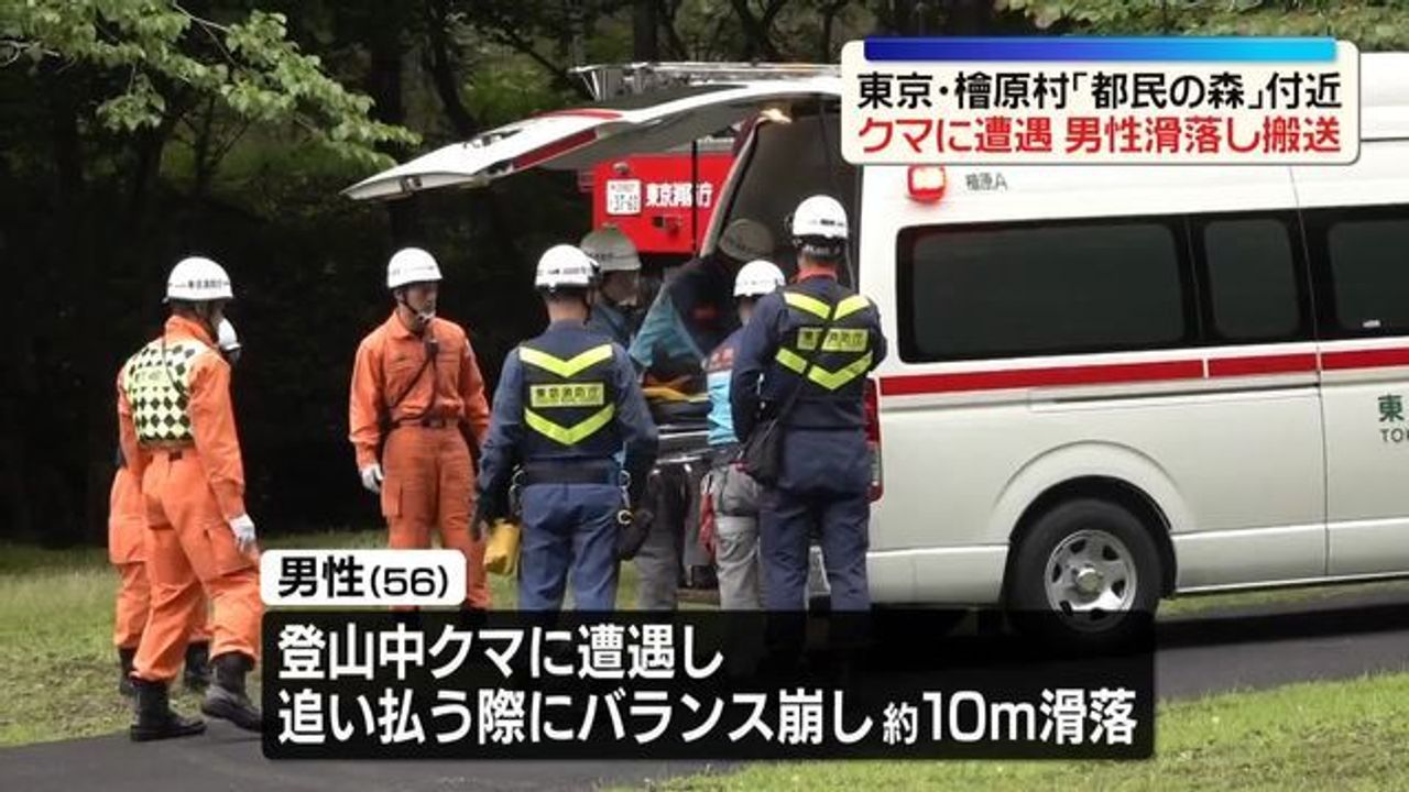 クマに遭遇した男性10m滑落 東京
