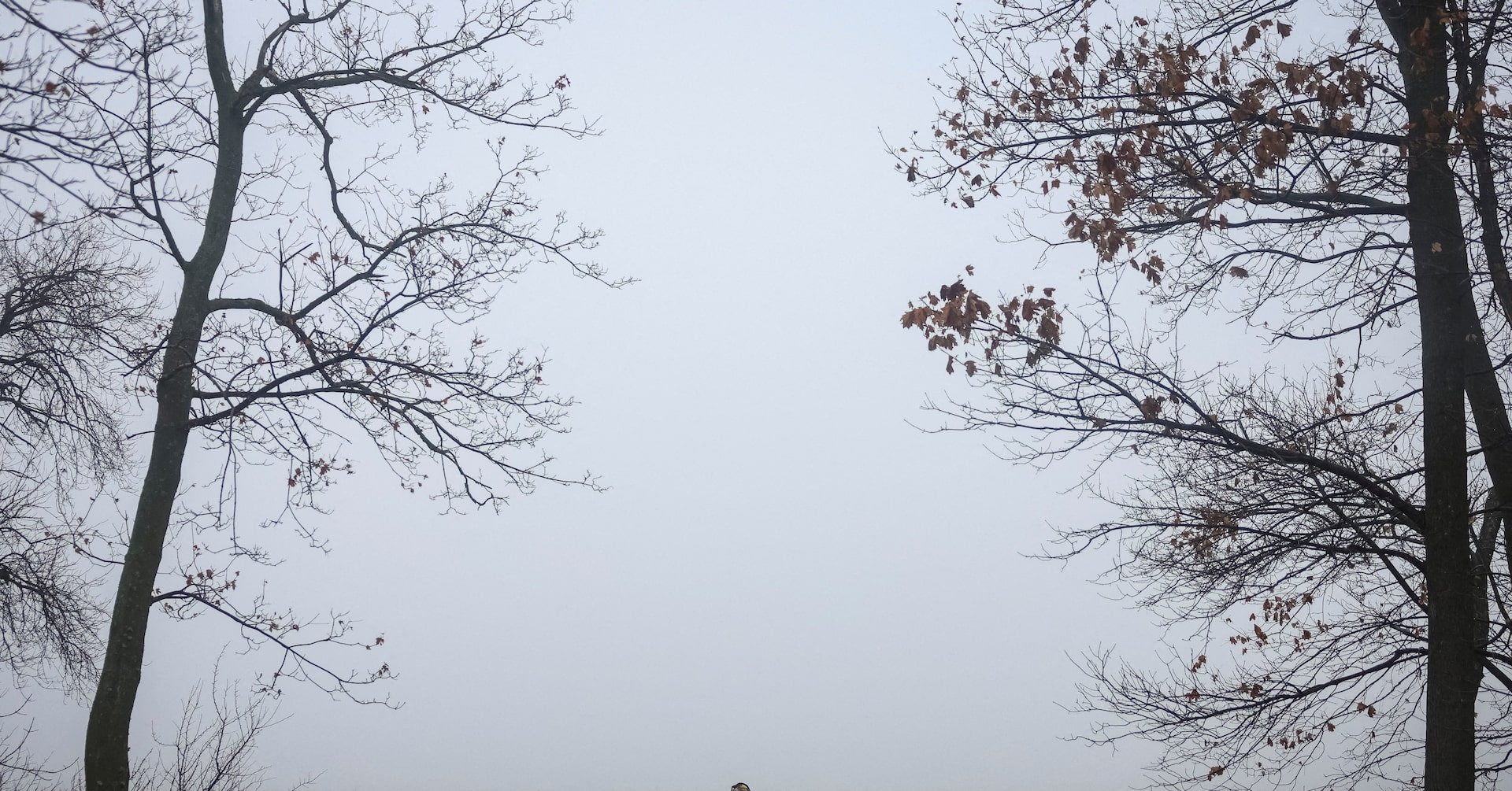 コラム：ウクライナの「不安定な和平」、欧州に重荷 再建・防衛費で負担拡大