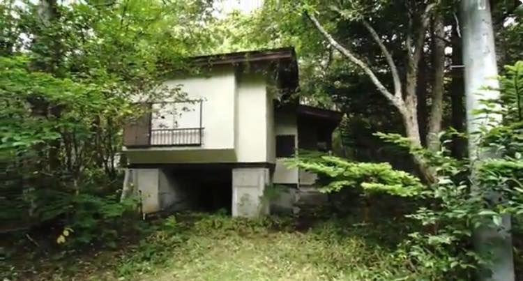 50万円で買った山奥の別荘 庭から止まらぬ湧き水、どうすれば？ 流れをたどると利根川へ…7.5トンの砂利と暗渠作りに挑んだ“DIY主の奮闘”に賞賛の声