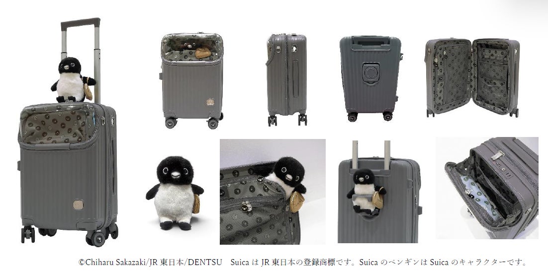「Ｓｕｉｃａのペンギン ぬいぐるみ付きカプセルキャリー」を数量限定で予約販売します！