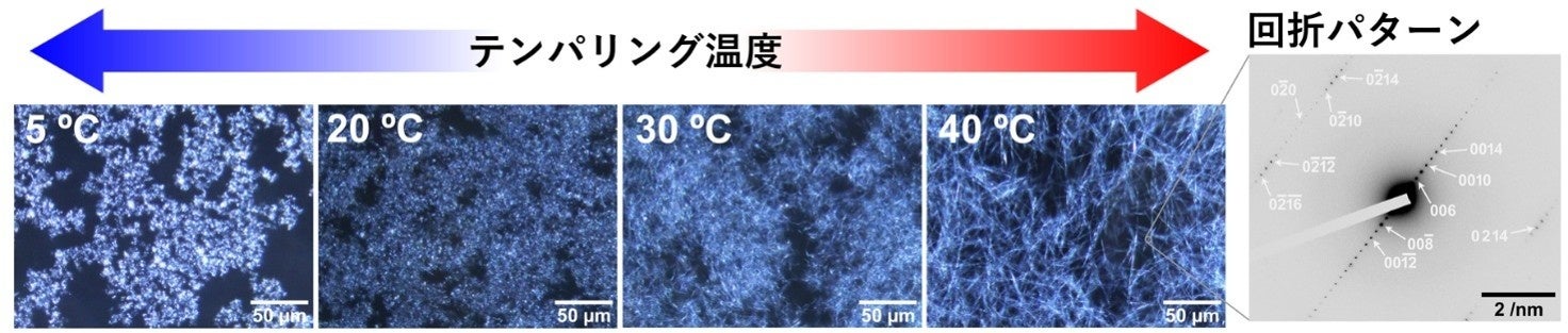 【ミヨシ油脂】広島大学と北海道大学との共同研究論文を発表、結晶の形と長さを制御し「油」を強く固める新技術