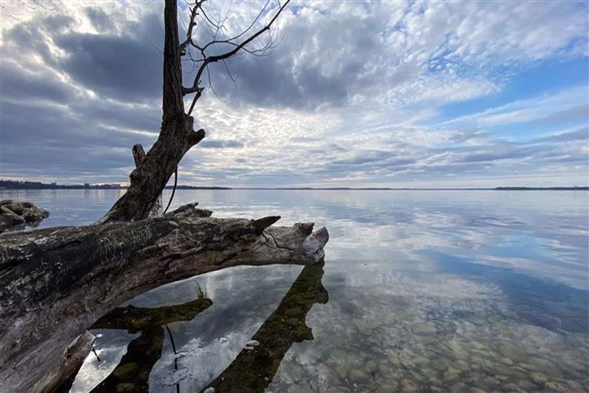 ピラミッドよりも昔に作られた、水底に沈んだカヌー…太古の沈没船が解き明かす、古代文明の謎（ニューズウィーク日本版）