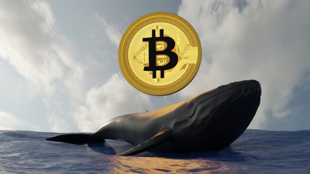 ビットコイン、11万7000ドル超えまで反発──ギャラクシーが古株クジラの約1兆3300億円相当のBTC売却を完了後（CoinDesk JAPAN）
