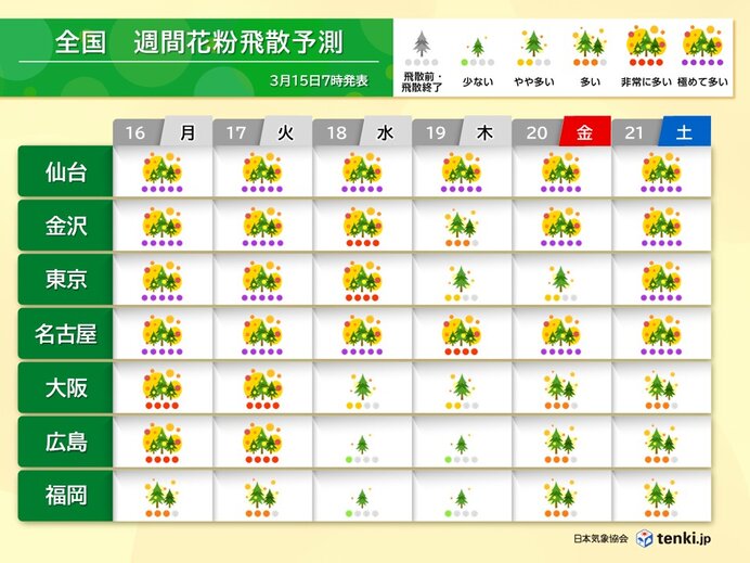 明日16日も東海・関東・東北など花粉が大量飛散 3月下旬からヒノキ花粉がピークに