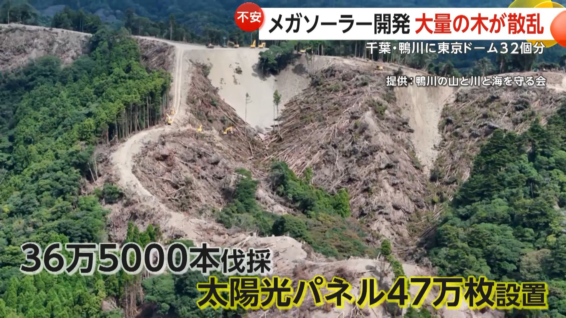 「土砂崩れで流れ出たら…」東京ドーム32個分のメガソーラー開発計画 大量の木散乱に住民不安 行政指導は58回 千葉・鴨川市