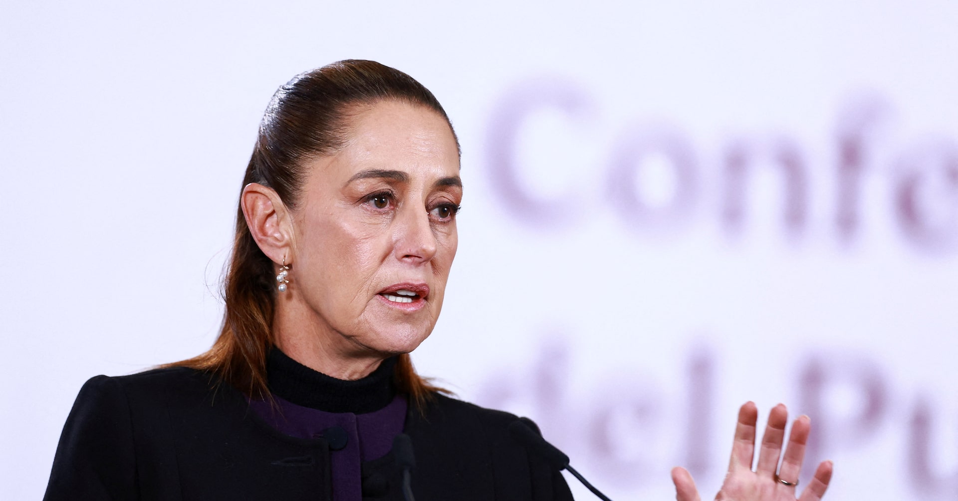 アングル：メキシコ麻薬密売組織の指導者殺害、大統領の最大の賭けに