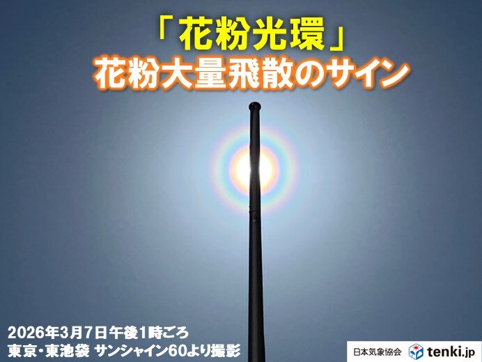 花粉ピーク真っただ中 向こう一週間は東京や名古屋などで連日「極めて多い」飛散に