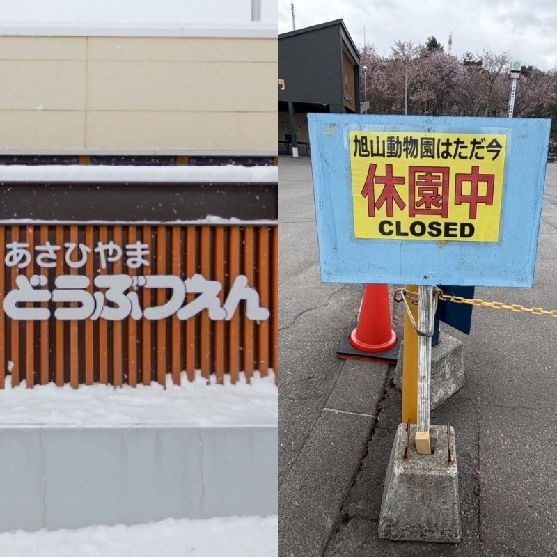 ≪旭山動物園・遺体焼却か≫「ワンちゃんをとても可愛がっていた…」愛犬家の夫、直前に自宅で起きた“謎の事故”で妻は「車を見ませんでしたか？」園は5月1日に開園予定も「捜査は終わるのか」（集英社オンライン）