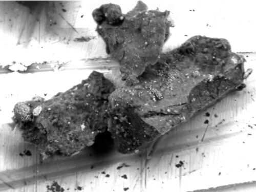 小惑星リュウグウのサンプルから “全く予想外の鉱物” を発見