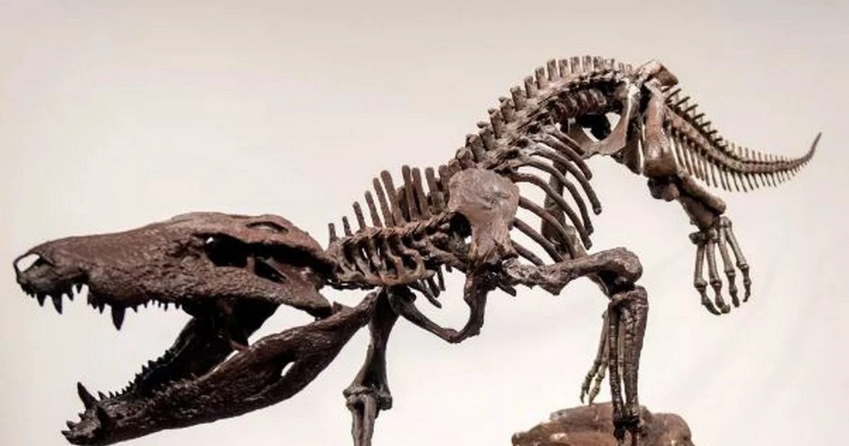 アルゼンチンで7000万年前の超捕食動物の化石が発見される