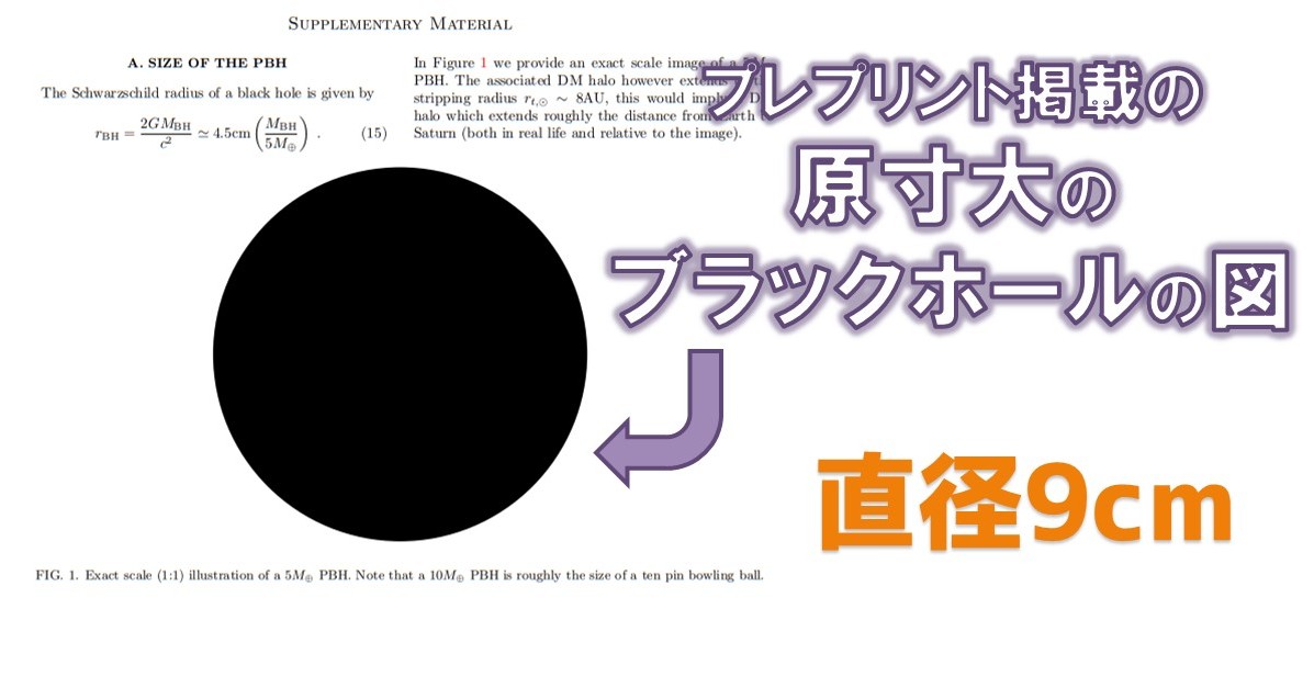 明日使える“論文の雑学” ちょっと変わった論文たち 「本文0文字」「ネコが書いた」「著者が5000人超」など