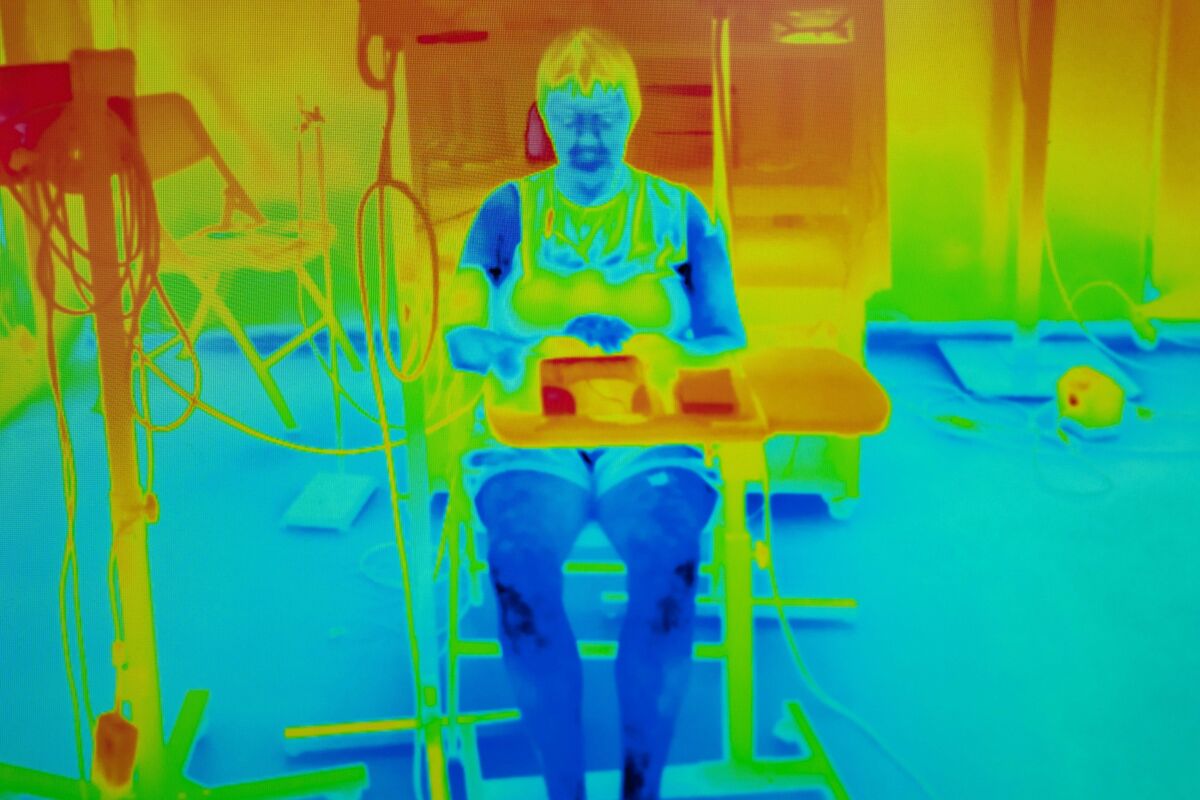 熱波の死者50万人時代、人体の限界探る研究者－室温40度で自ら実験台