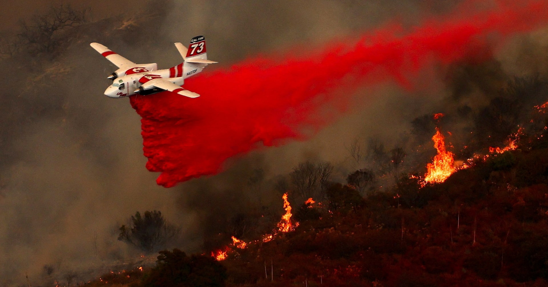 アングル：トランプ政権の予算削減案で米環境研究に暗雲、山火事対策に影響も