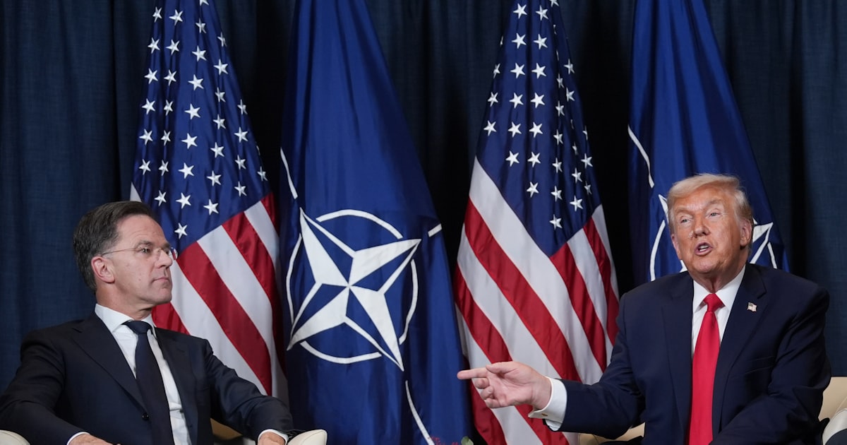 トランプ氏｢グリーンランド関税｣見送り NATOと合意枠組み構築