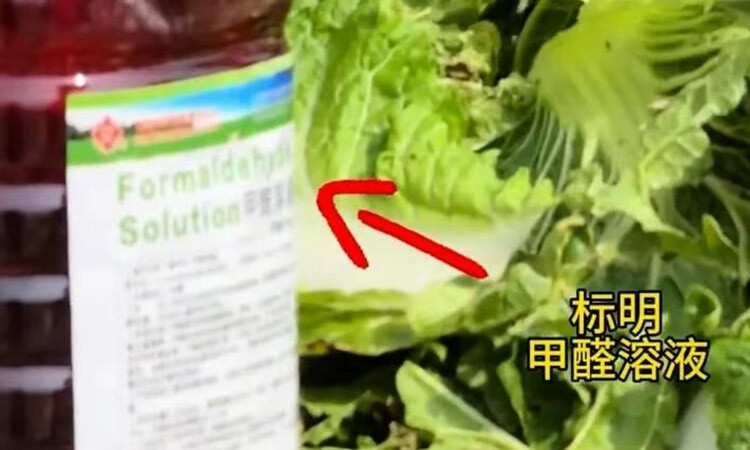 中国産白菜、「遺体保存剤」として使われる発がん性物質まみれ…韓国で中国産キムチ輸入量が過去最大（朝鮮日報日本語版）