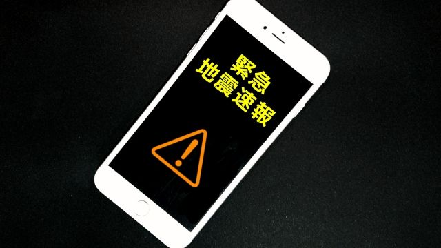 緊急地震速報で愛猫2匹を、急いでキャリーに→異例の「取り消し」で開放すると…… 猫たちの表情に愕然「信用を失った」
