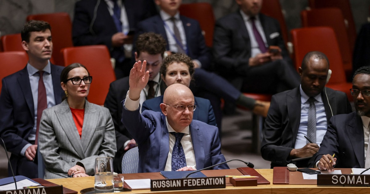 国連安保理、ホルムズ海峡の通航確保へ協調案否決 中ロが拒否権