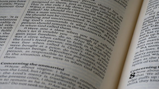 数理科学における不正出版の実態