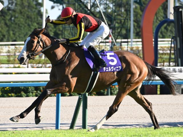 【AI予想・中山記念】人気の関東馬を素直に信頼するべき一戦!? 人工知能は実績馬の復活劇に期待