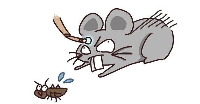 哺乳類の狩りの仕組みは？ 脳にレーザー照射で“攻撃的になる部位”特定 中国チームが18年にマウス実験：ちょっと昔のInnovative Tech