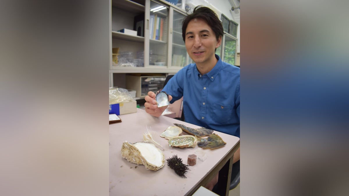 奥村大河氏のバイオミネラル(生体鉱物)研究、読売新聞科学記者が取材 : 読売新聞
