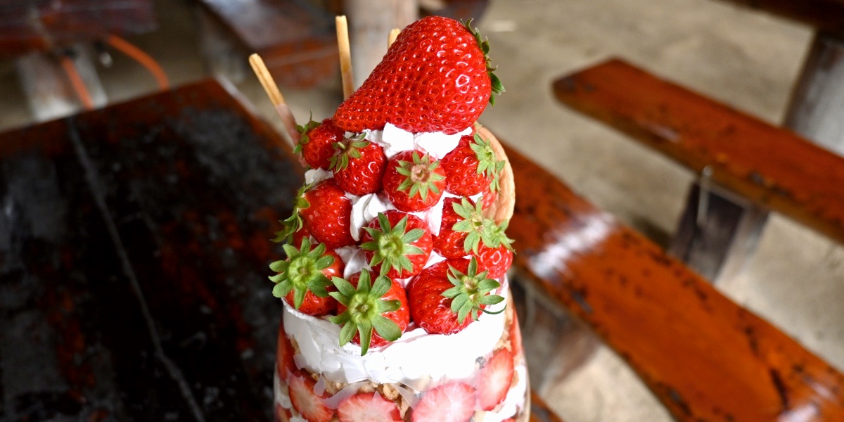 三田市『かさや』で1.5キロの特大いちごパフェに挑戦！完熟いちご＆原木しい茸狩りも