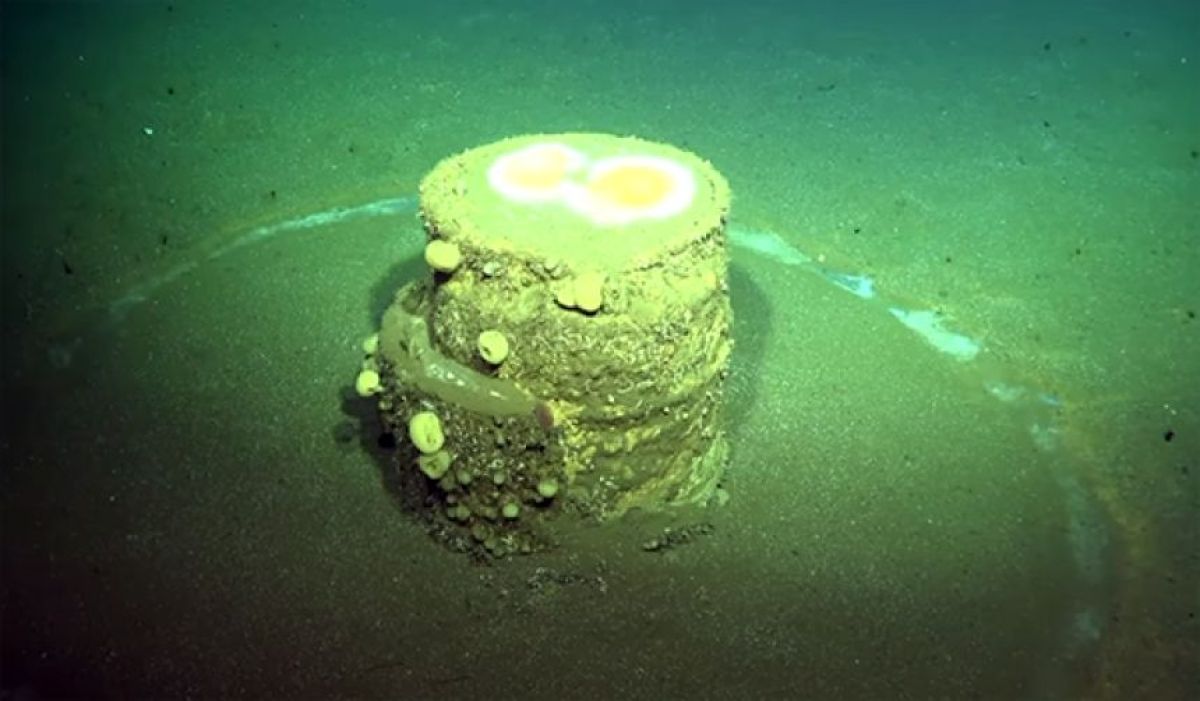 南カリフォルニア沖に投棄された化学物質の樽 周囲に広がる白い輪の正体が明らかに