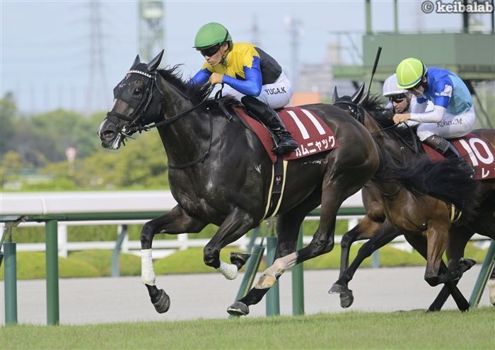 【秋華賞】出走馬格付けバトル！樫の女王が2冠をつかみ取るか、乙女たちの反撃か