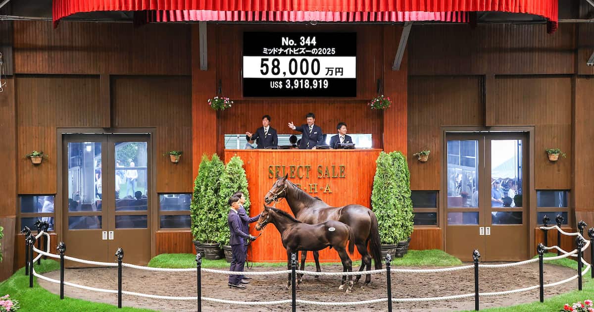 【セレクトセール2025・2日目】日本歴代3位タイ！ イクイノックス産駒が5億8000万円で落札 母ミッドナイトビズーは米GⅠ5勝＆サウジC制覇の名牝