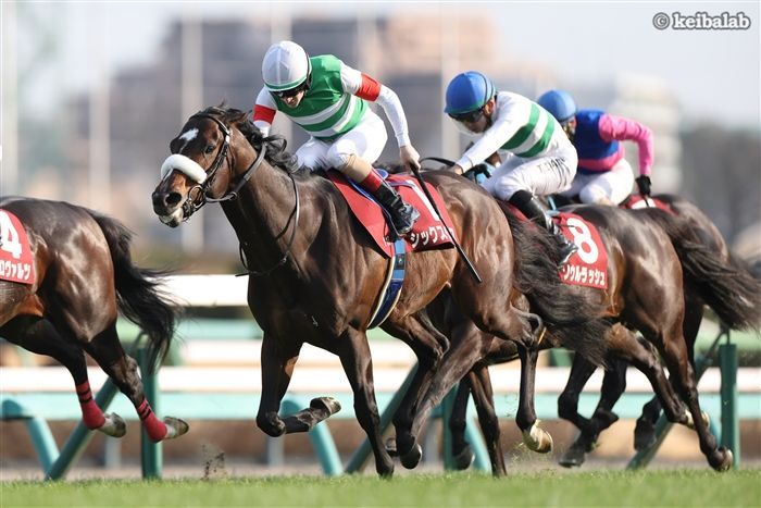 【スプリングS】弥生賞とは傾向一変！今年は好走データに合致した人気薄に熱視線！