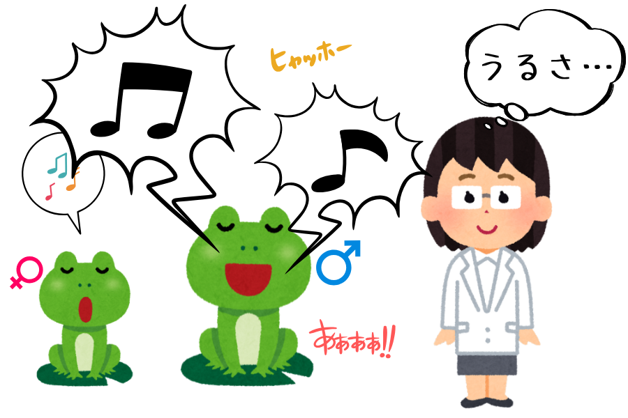 なぜ科学者はメスのカエルの鳴き声をほとんど知らないのか【オスのせい】
