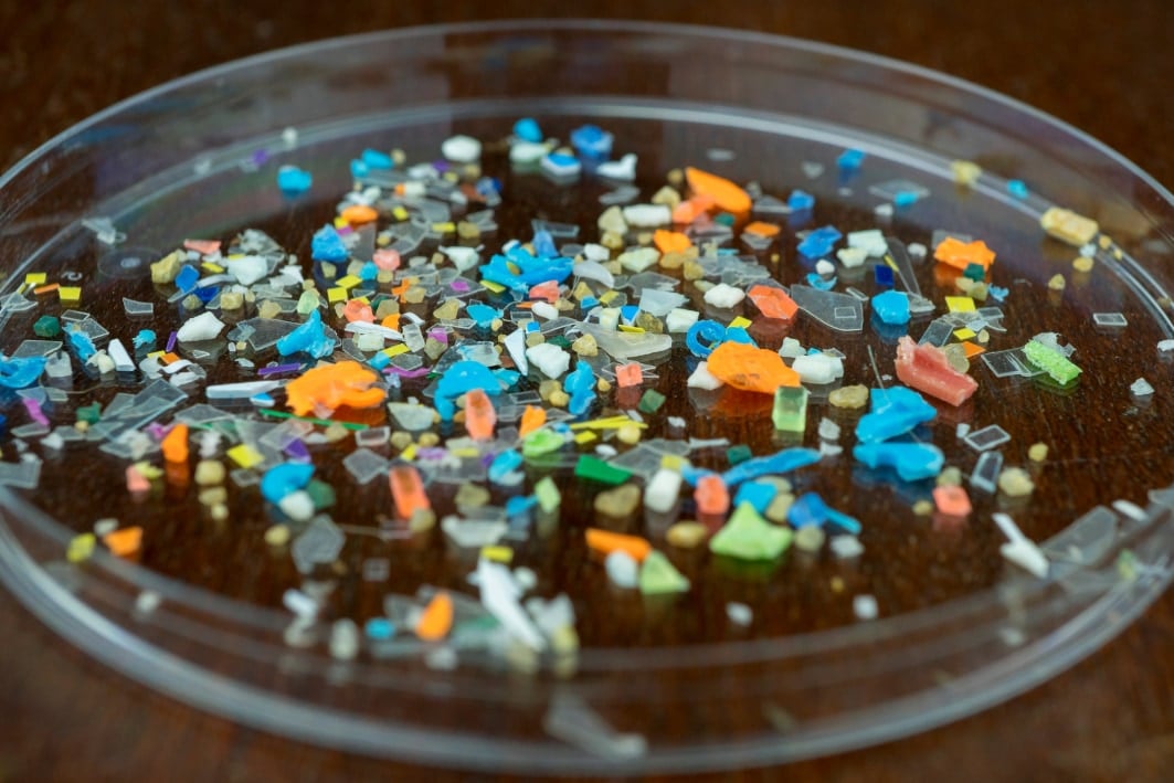 マイクロプラスチックを「美味しい」と感じる動物 (2/3)