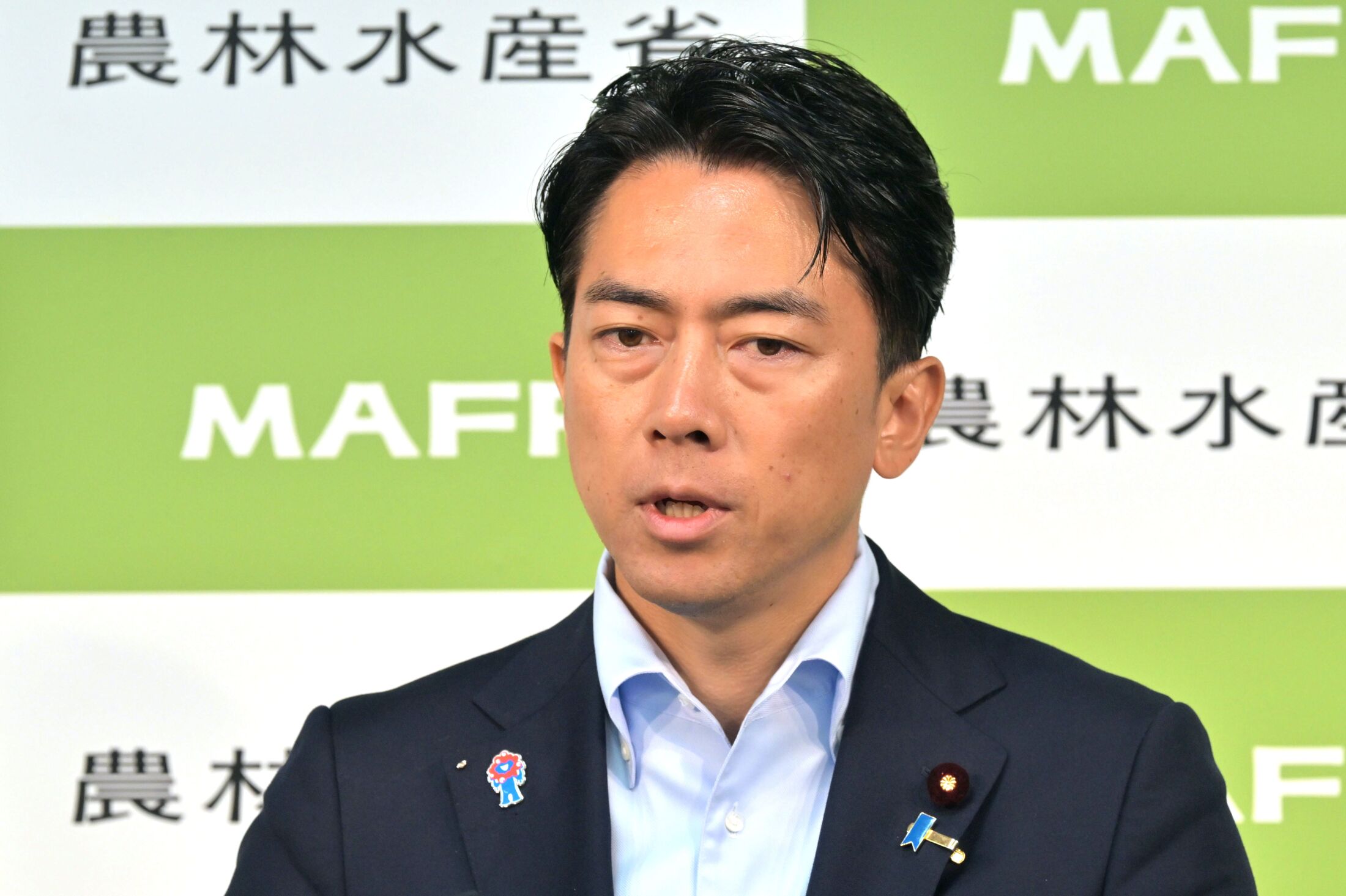小泉進次郎陣営が「ニコニコ動画」で“ステマ指示” 「石破さんを説得できたのスゴい」など24パターンのコメント例、高市氏への中傷も…