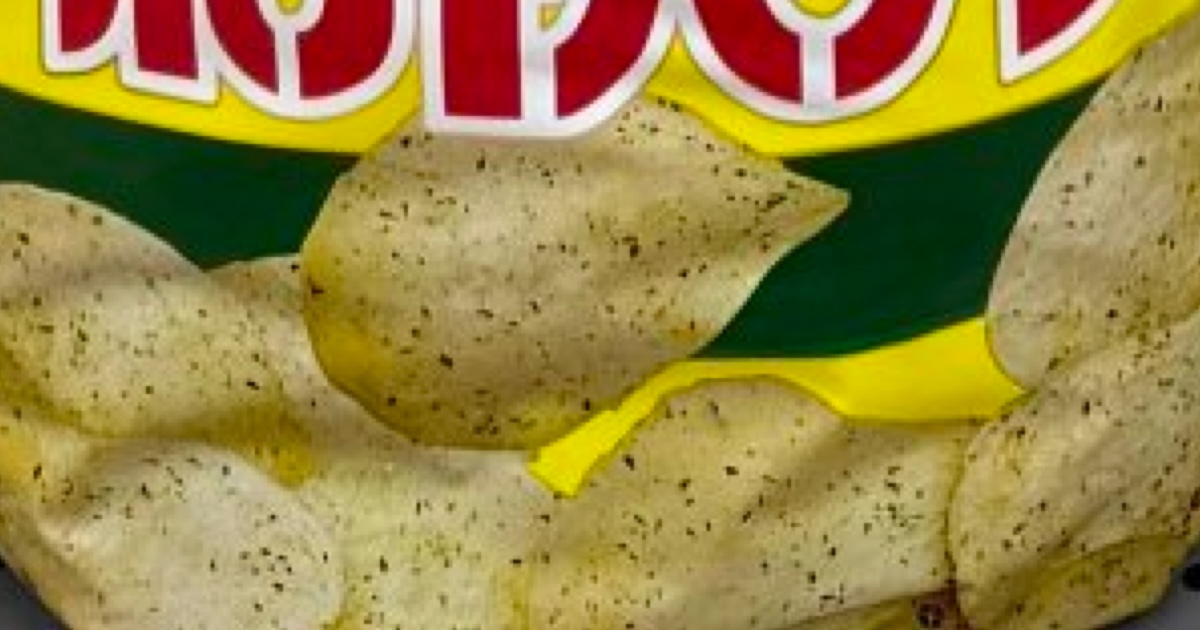 「巨大ポテチが売ってる！」と近寄ったら……「これは、あかんwww」 まさかの中身に「これは絶対騙されます笑」