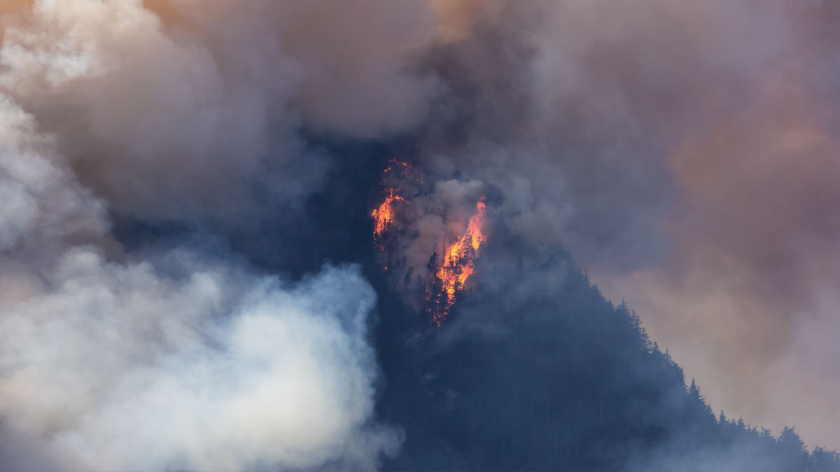 気候変動によってアメリカでは山火事の煙による死者数が2050年までに年間7万人に達する可能性がある