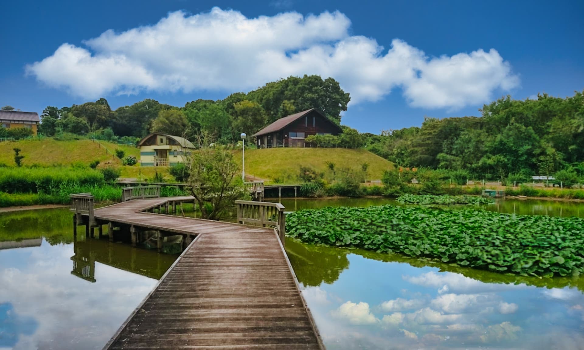 永住したいと思う「茨城県の街」ランキングTOP28！ 第1位は「取手市」【2025年最新投票結果】