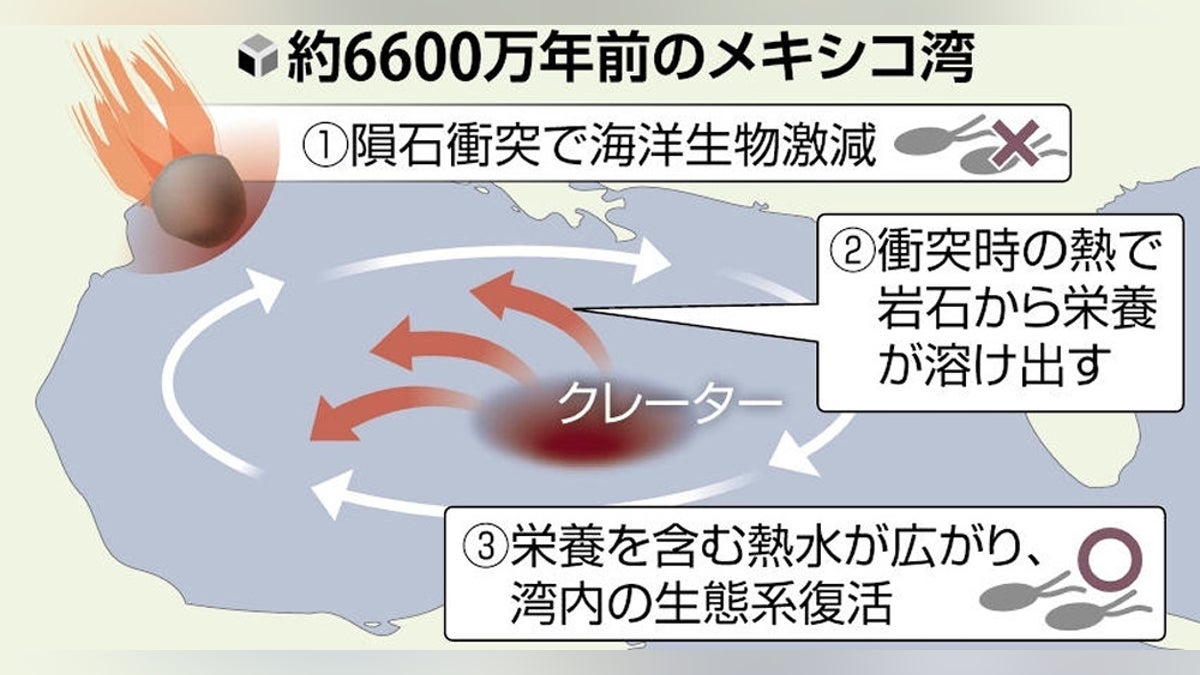 恐竜絶滅原因の隕石、衝突時の熱で海洋生態系が急回復…６６００万年前のメキシコ湾