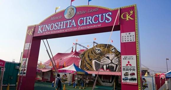 【嘘だろ】普通の大学生がサーカスに入団して2年目 → ヤバ過ぎる男が入団して泣いた / 木下サーカスの思い出：第6回
