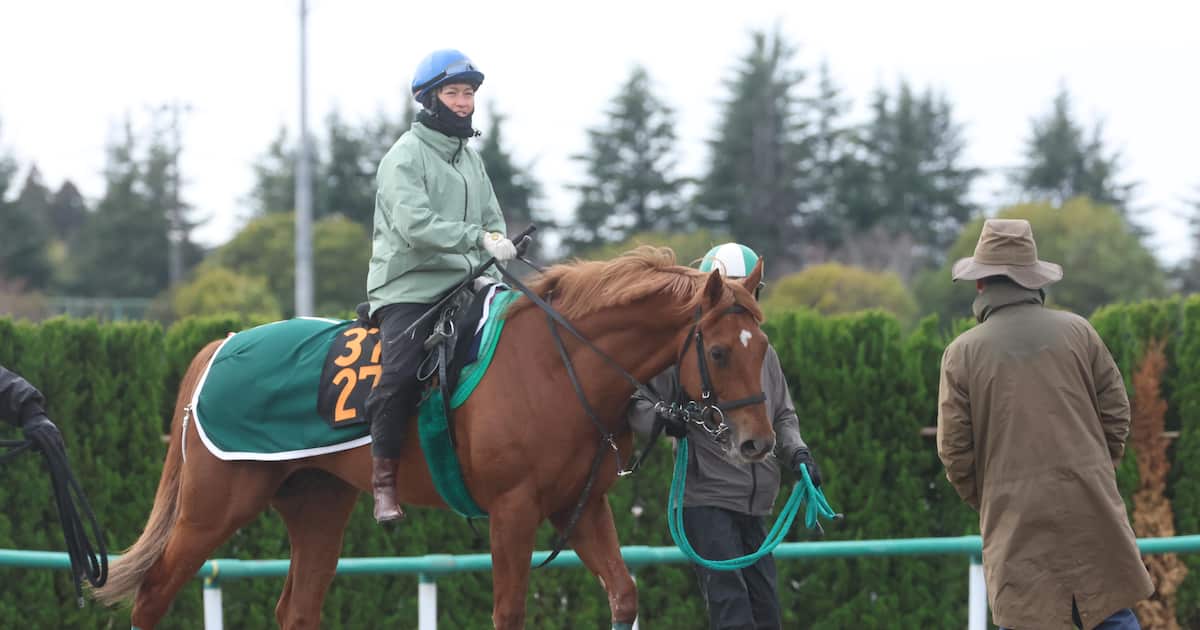 【スプリングS われかく戦う】ラストスマイル・杉原誠人騎手「ペルーサに似ている」「自分が強いと分かっている感じ」