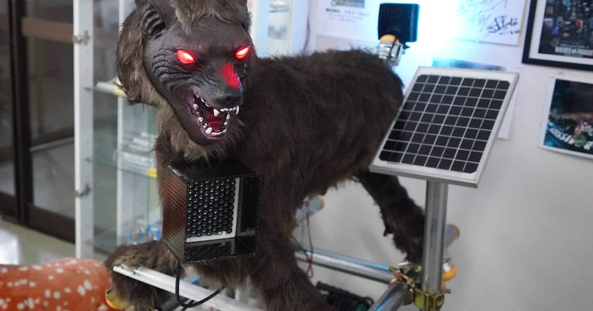 真っ赤な眼光、50種類の大音響でクマ撃退 北海道の町工場考案の「モンスターウルフ」