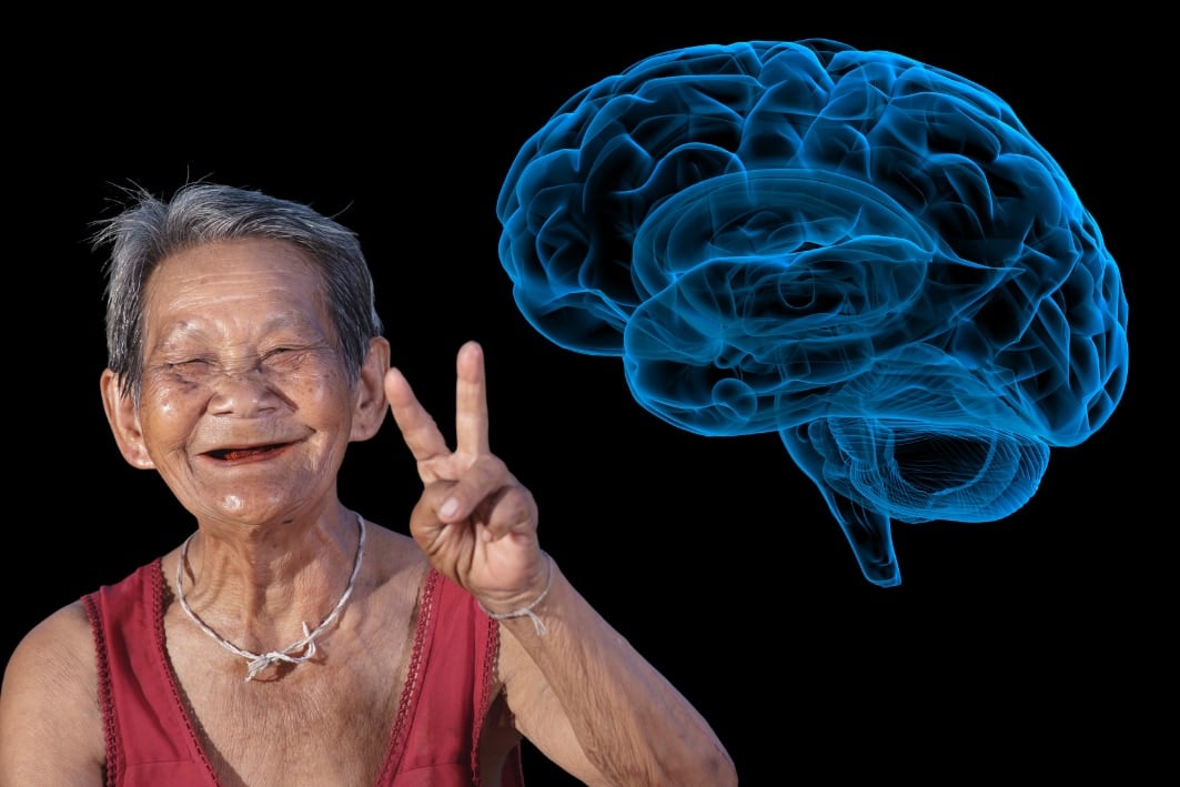 78歳の脳にも「新しい神経細胞」が出現できると判明