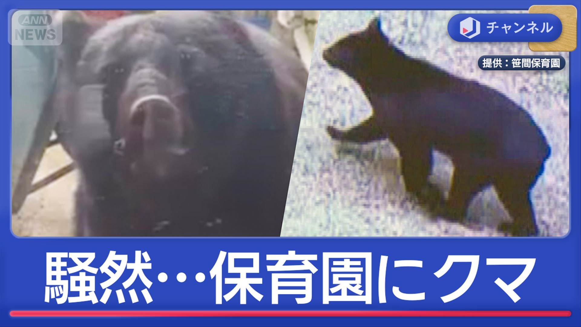 「ドンドンしている」子ども40人がいる保育園にクマ出没 緊迫の瞬間