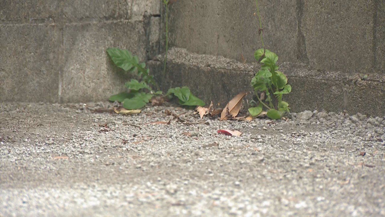 【速報】車内で"熱中症" 生後11か月の男児が死亡 母親「家事や仕事に気を取られて」 熱中症警戒アラート発表中 32.5℃まで気温上がる 熊本市