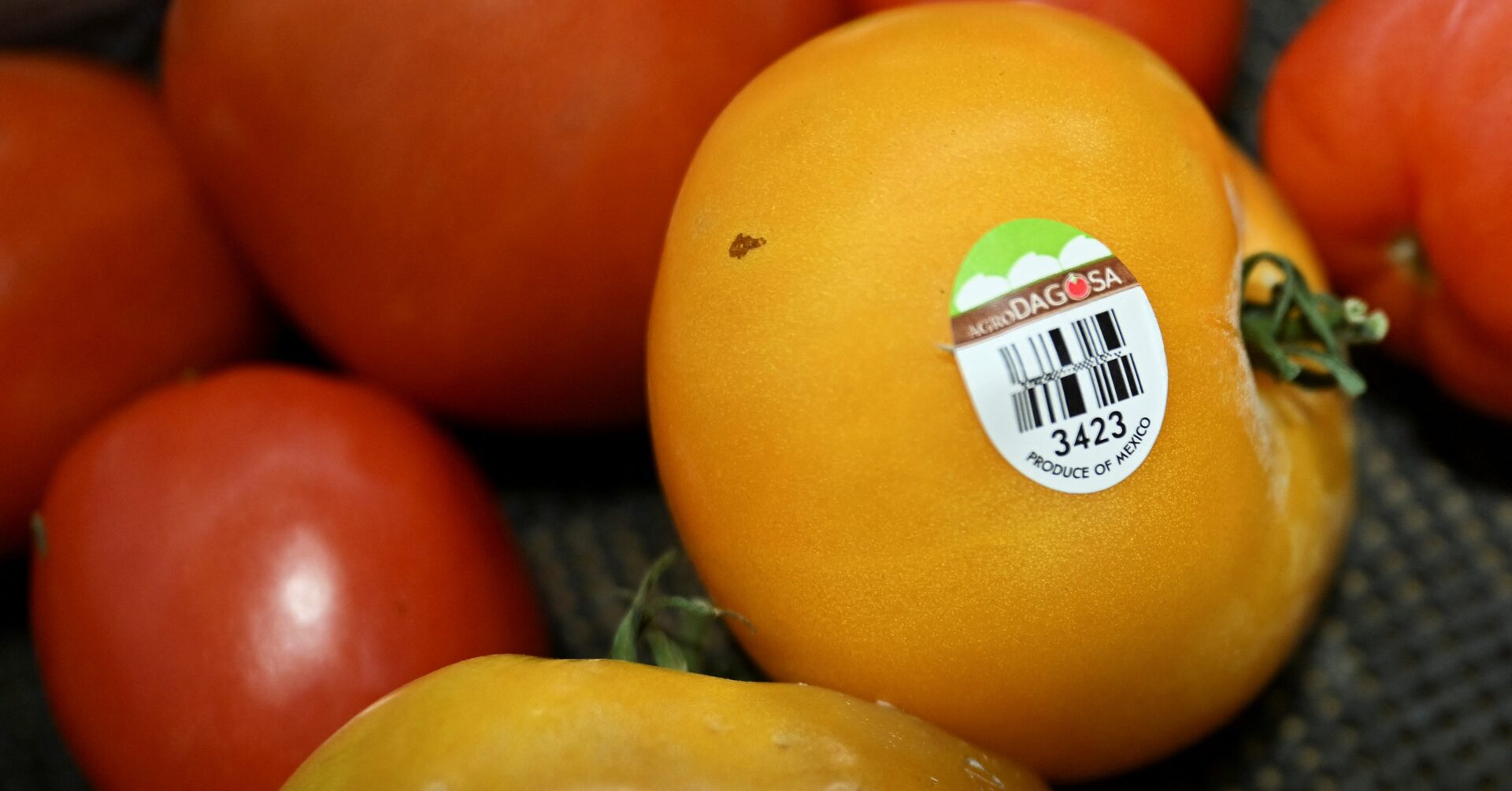 米、メキシコ産トマトの大半に約17％関税 合意離脱で