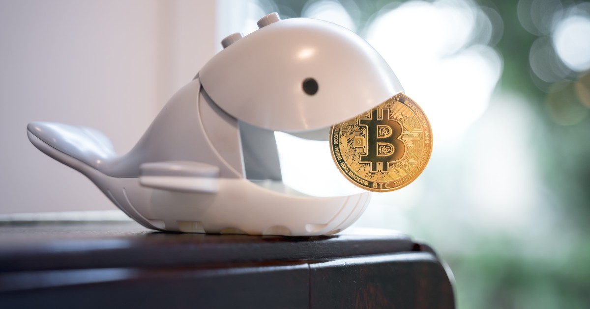 古参ビットコイン大口保有者、3000億円相当売却開始か＝オンチェーンデータ