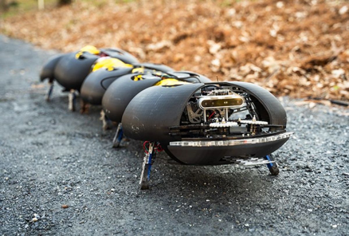 ムカデ型のロボットが農園の雑草駆除に大活躍