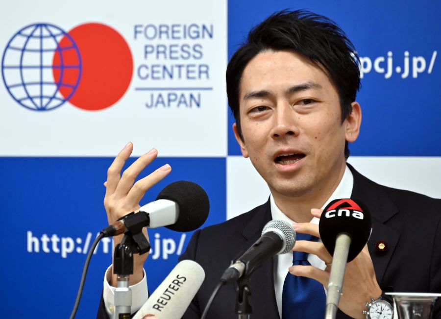 「売ってしまえば責任なし」メガソーラー“転売ビジネス”横行の闇…小泉氏の規制緩和も背景に（FRIDAY）