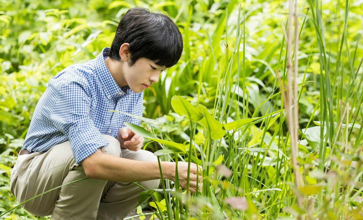 悠仁さま 来春から通う筑波大学は「エリートコース」で大正解？ 英マンチェスター大学留学という道も