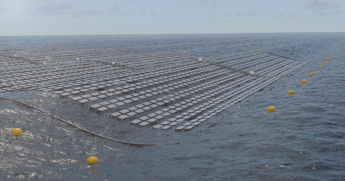 海苔の養殖かと思ったら水上太陽光発電だった