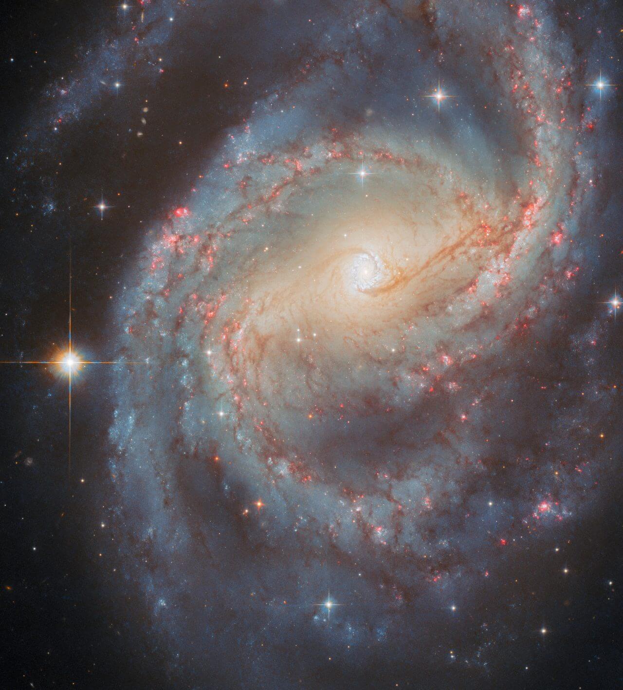 輝くスターバースト・リング ハッブル宇宙望遠鏡が観測した渦巻銀河「NGC 6951」